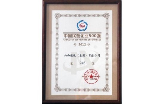 2012年8月集團位列中國民營企業500強第246位